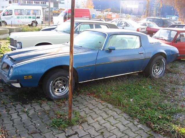 firebird3.jpg