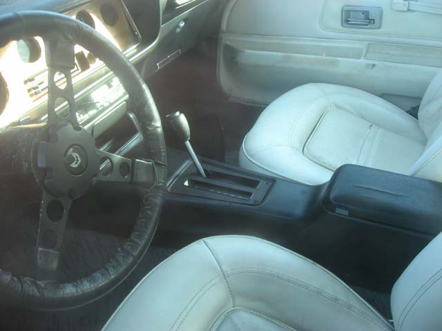firebird6.jpg