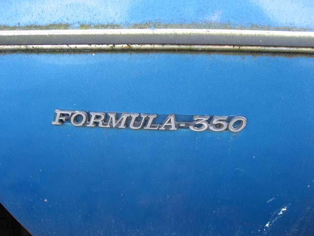 firebird8.jpg